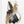 Tablou înramat „Chaos-3” de Sally Ann Moss