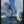 Tablou înramat „Blue Lagoon-2” de Sally Ann Moss