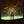 Tablou înramat „A Cosmic Kiss” de Taudalpoi