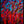 Tablou înramat „Botanic Radiance” de Dorothy Fagan