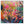 Tablou înramat „Vibrant Garden Burst” de Dorothy Fagan