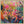 Tablou înramat „Vibrant Garden Burst” de Dorothy Fagan