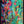 Tablou înramat „Vivid Colors And Delicate Petals” de Dorothy Fagan