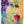 Tablou înramat „Vibrant Blossoms” de Dorothy Fagan