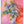Tablou înramat „Vibrant Petals” de Dorothy Fagan