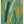 Tablou înramat „Bold Color Brushstrokes” de Little Dean