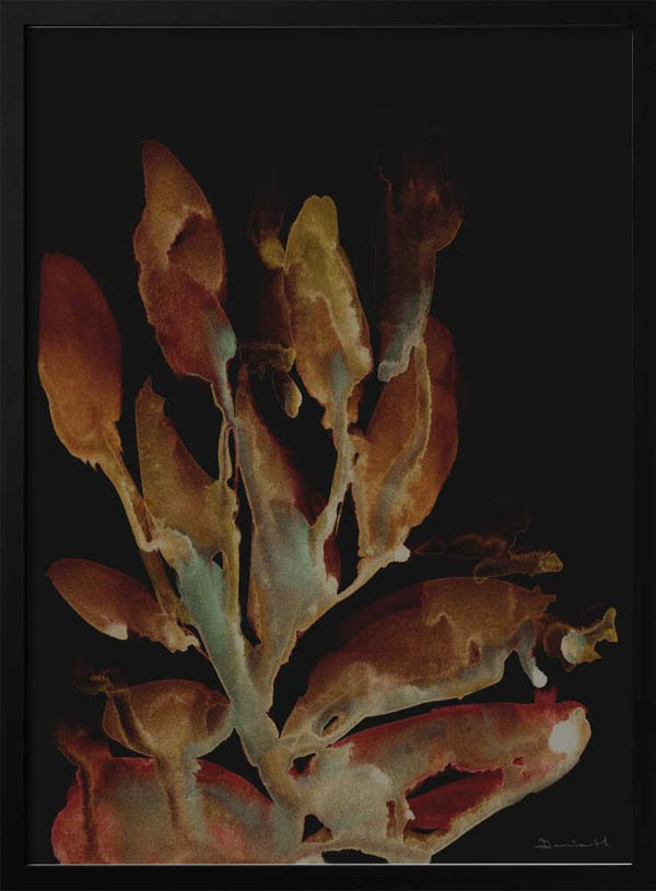 Tablou înramat „Night Plant” de Dan Hobday