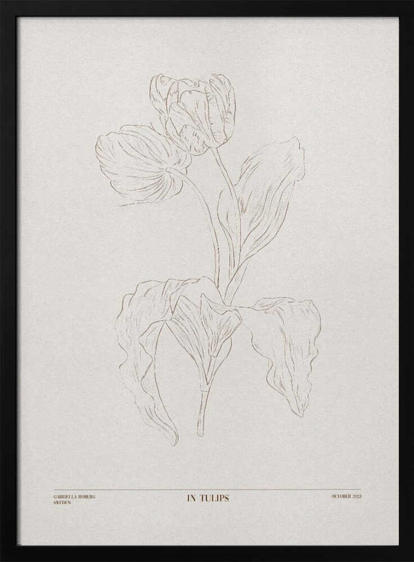 Tablou înramat „In Tulips (brown)” de Gabriella Roberg