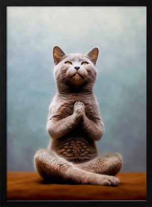 Tablou înramat „Cat yoga 13” de Justyna Jaszke