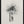 Tablou înramat „Brush splatters #5” de Imaginative