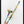 Tablou înramat „Trombone Abstract Watercolor” de Michael Tompsett