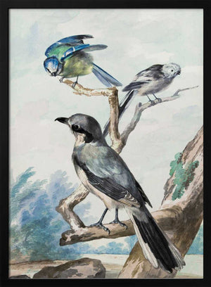 Tablou înramat „Three Birds” de Aert Schouman