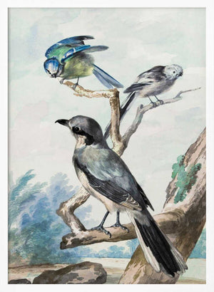 Tablou înramat „Three Birds” de Aert Schouman