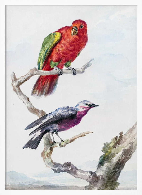 Tablou înramat „Two Birds, Including a Red Green Parrot” de Aert Schouman
