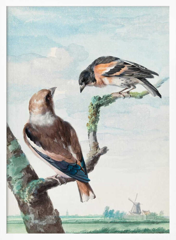 Tablou înramat „Two Birds  Hawfinch” de Aert Schouman