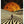 Tablou înramat „Adventures In New Dimensions” de Taudalpoi
