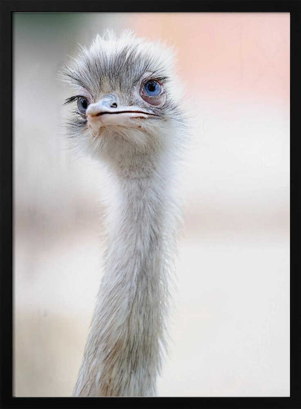 Tablou înramat „natural beauty” de Fulvio Pellegrini