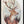 Tablou înramat „Deer In A Rustic Outfit” de Mike Koubou
