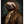 Tablou înramat „Sloth Portrait” de Andreas Magnusson
