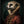 Tablou înramat „Meerkat Portrait” de Andreas Magnusson
