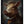 Tablou înramat „Warthog Portrait” de Andreas Magnusson