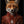 Tablou înramat „Red Fox Portrait” de Andreas Magnusson