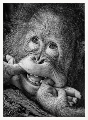 Tablou înramat „Big Smile.....please” de Angela Muliani Hartojo