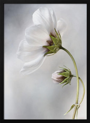 Tablou înramat „Heavenly Cosmos” de Mandy Disher
