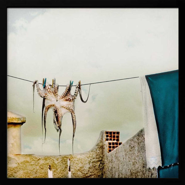 Tablou înramat „Tote Hose” de ambra