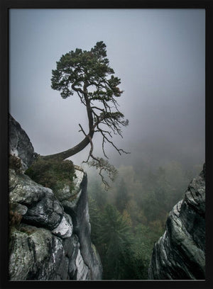 Tablou înramat „Against the Odds” de Andreas Wonisch
