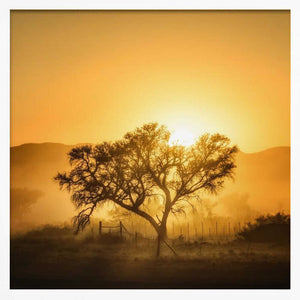 Tablou înramat „Golden Sunrise” de Piet Flour