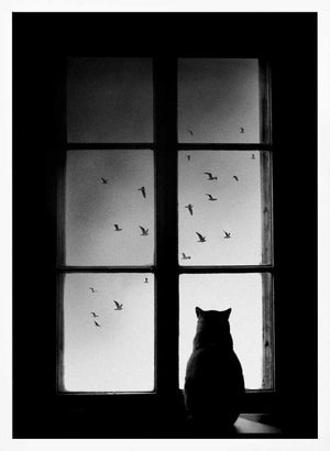Tablou înramat „winter is coming” de Mario Pucic