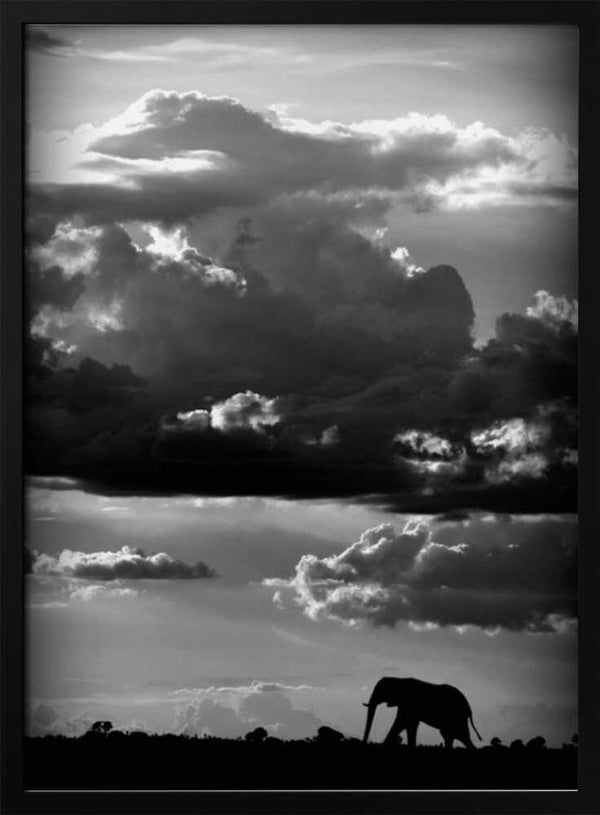 Tablou înramat „He walks under an African Sky” de WildPhotoArt