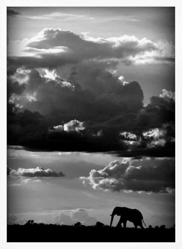 Tablou înramat „He walks under an African Sky” de WildPhotoArt