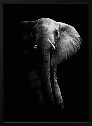Tablou înramat „Elephant!” de WildPhotoArt