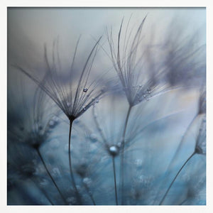 Tablou înramat „Teardrops” de Mathieu Irthum