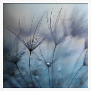 Tablou înramat „Teardrops” de Mathieu Irthum