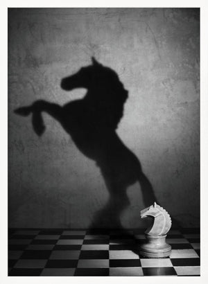 Tablou înramat „The soul of a mustang” de Victoria  Glinka