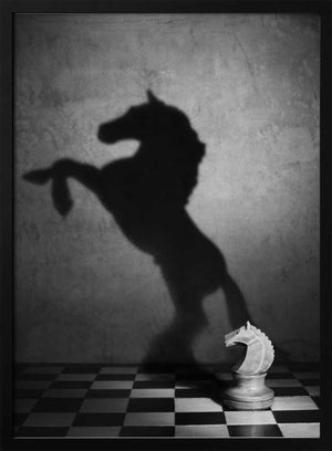 Tablou înramat „The soul of a mustang” de Victoria  Glinka