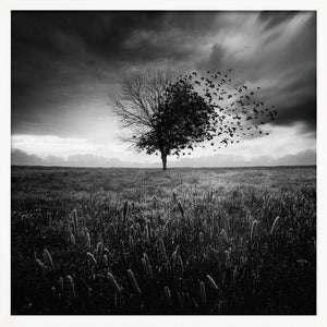 Tablou înramat „Illusion d'un printemps perdu” de Sebastien DEL GROSSO