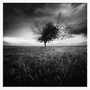 Tablou înramat „Illusion d'un printemps perdu” de Sebastien DEL GROSSO