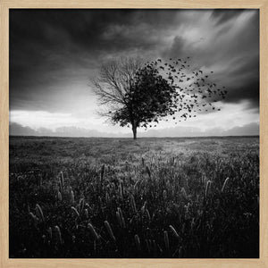 Tablou înramat „Illusion d'un printemps perdu” de Sebastien DEL GROSSO