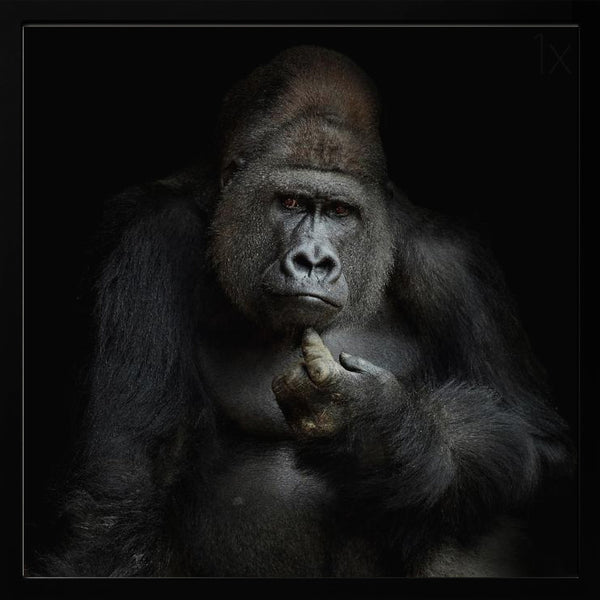 Tablou înramat „IMHO ....” de Antje Wenner-Braun