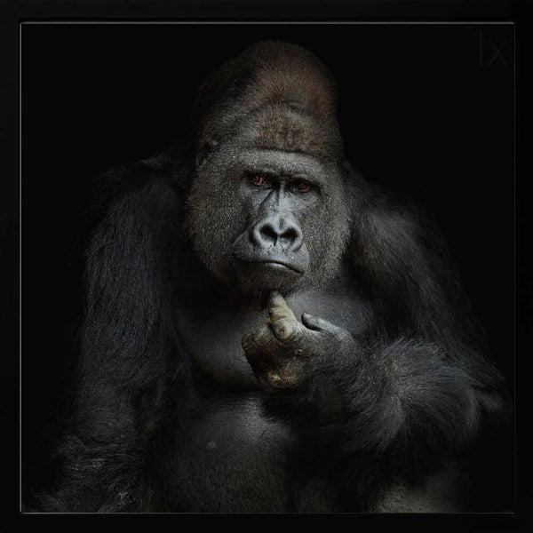 Tablou înramat „IMHO ....” de Antje Wenner-Braun