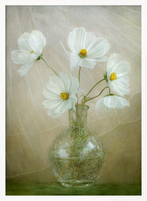 Tablou înramat „Cosmos breeze” de Mandy Disher