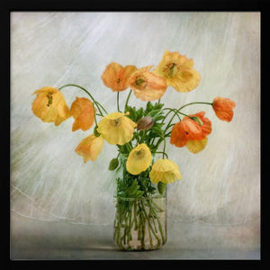 Tablou înramat „In the window” de Mandy Disher