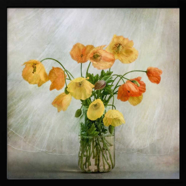 Tablou înramat „In the window” de Mandy Disher