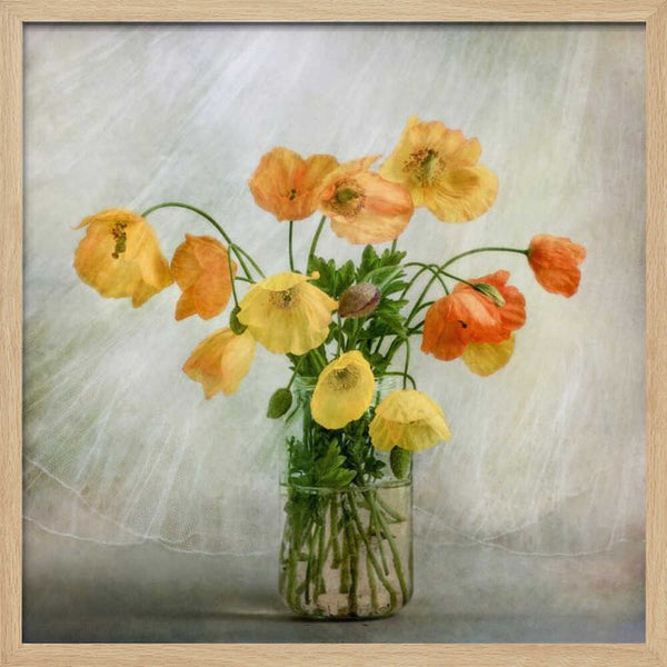 Tablou înramat „In the window” de Mandy Disher