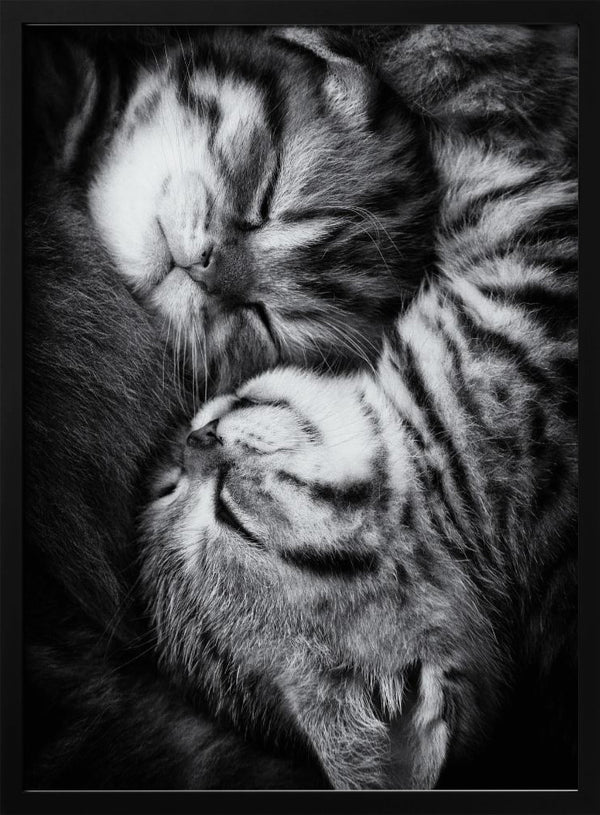 Tablou înramat „Yin and Yang” de Andrea Jancova