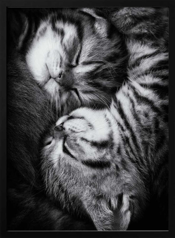 Tablou înramat „Yin and Yang” de Andrea Jancova